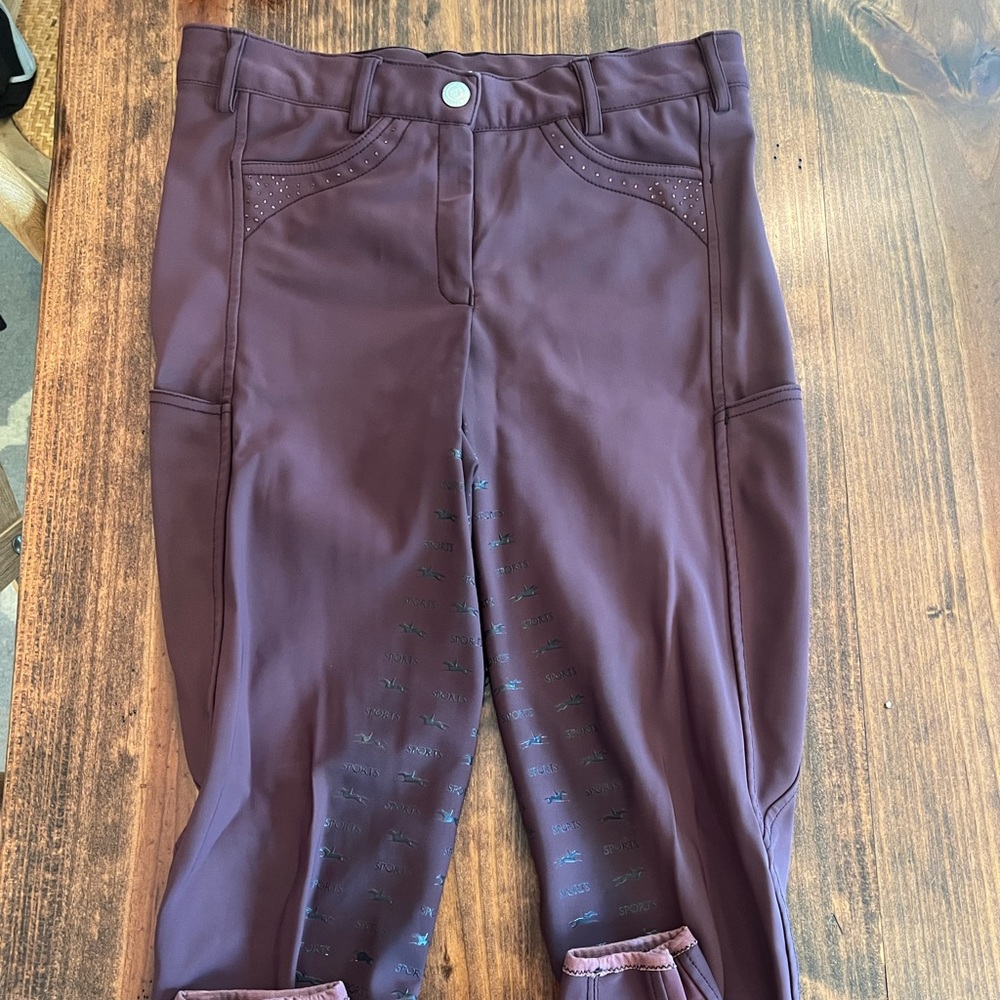 shockemohle breeches!!